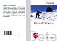 Bookcover of Saalbach-Hinterglemm