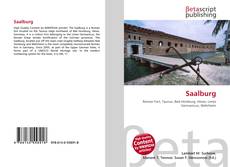 Couverture de Saalburg