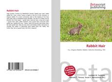 Buchcover von Rabbit Hair