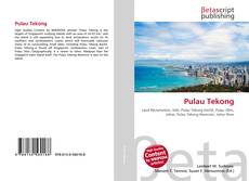 Buchcover von Pulau Tekong