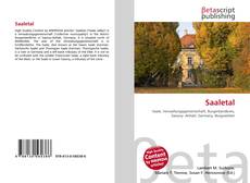 Buchcover von Saaletal