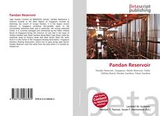 Обложка Pandan Reservoir