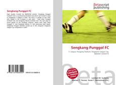 Portada del libro de Sengkang Punggol FC
