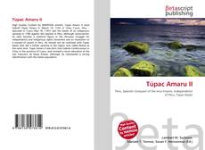 Couverture de Túpac Amaru II