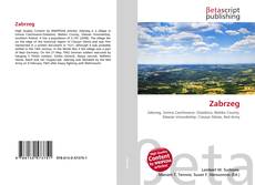 Buchcover von Zabrzeg