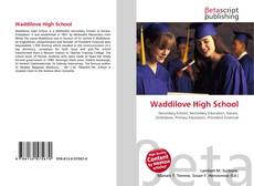 Buchcover von Waddilove High School