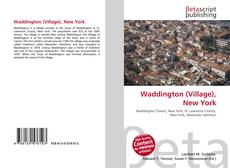 Capa do livro de Waddington (Village), New York 