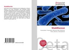 Couverture de Waddliaceae