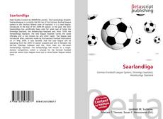Buchcover von Saarlandliga