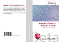 Buchcover von Radostín (Žďár nad Sázavou District)