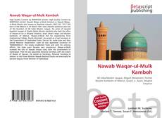 Couverture de Nawab Waqar-ul-Mulk Kamboh
