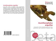 Copertina di Acanthocephalus anguillae