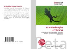Copertina di Acanthodactylus erythrurus