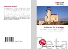 Buchcover von Slovenes in Somogy