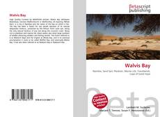 Couverture de Walvis Bay