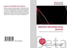 Buchcover von Radostín (Havlíčkův Brod District)