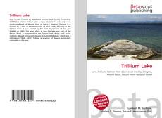 Couverture de Trillium Lake