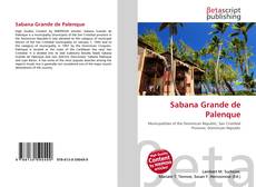 Buchcover von Sabana Grande de Palenque