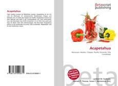 Capa do livro de Acapetahua 