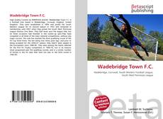 Обложка Wadebridge Town F.C.