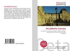 Couverture de Accademia Carrara