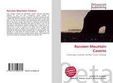 Couverture de Raccoon Mountain Caverns