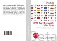 Copertina di NATO Rapid Deployable Italian Corps