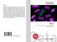 Portada del libro de XCL2