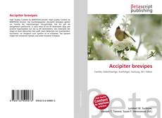 Bookcover of Accipiter brevipes