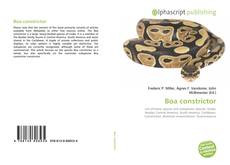 Borítókép a  Boa constrictor - hoz