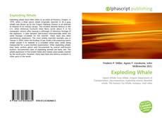 Buchcover von Exploding Whale
