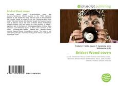 Capa do livro de Bricket Wood coven 