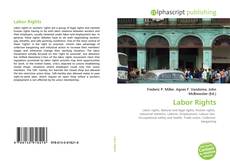 Bookcover of Labor Rights