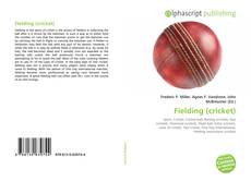 Fielding (cricket)的封面