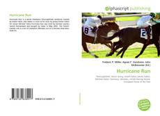Capa do livro de Hurricane Run 