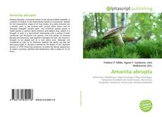 Capa do livro de Amanita abrupta 