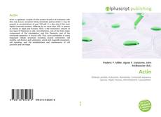 Обложка Actin