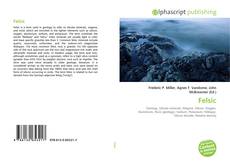 Обложка Felsic