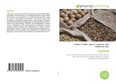 Обложка Lysine