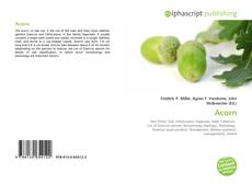 Capa do livro de Acorn 
