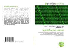 Multiplicative Inverse kitap kapağı