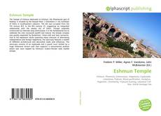 Bookcover of Eshmun Temple