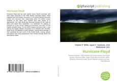 Bookcover of Hurricane Floyd