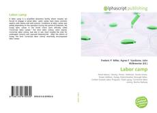 Bookcover of Labor camp
