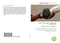 Buchcover von Domestic Pigeon