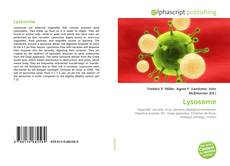 Bookcover of Lysosome