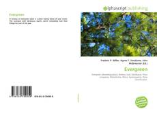 Buchcover von Evergreen