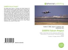 Buchcover von DARPA Falcon Project