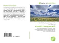 Bookcover of Capsella bursa-pastoris