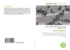 Borítókép a  Feral Pigeon - hoz